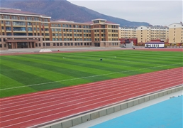 武漢市湯遜湖學校